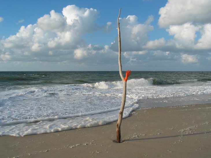 Treibholz mit Fischerhandschuh am Nordseestrand