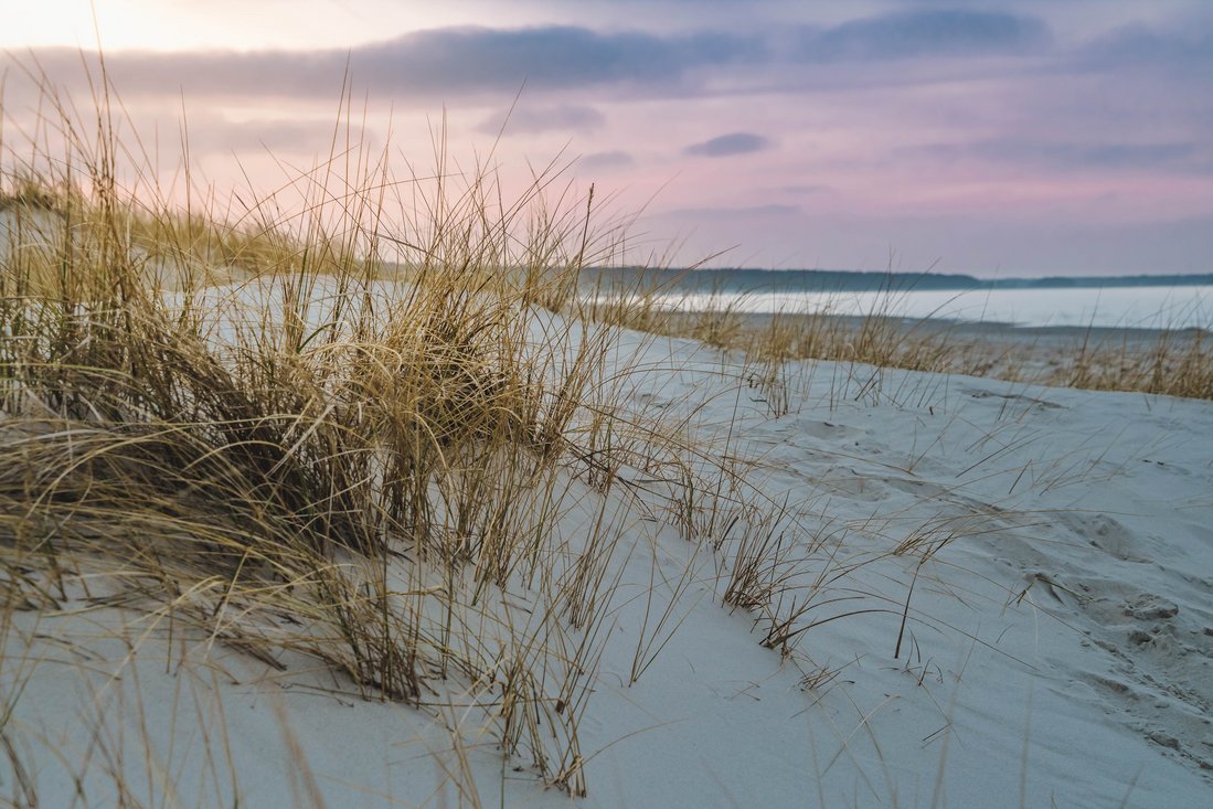 Ostesee Düne mit Strandhafer. Bild von Norbert Waldhausen auf Pixabay