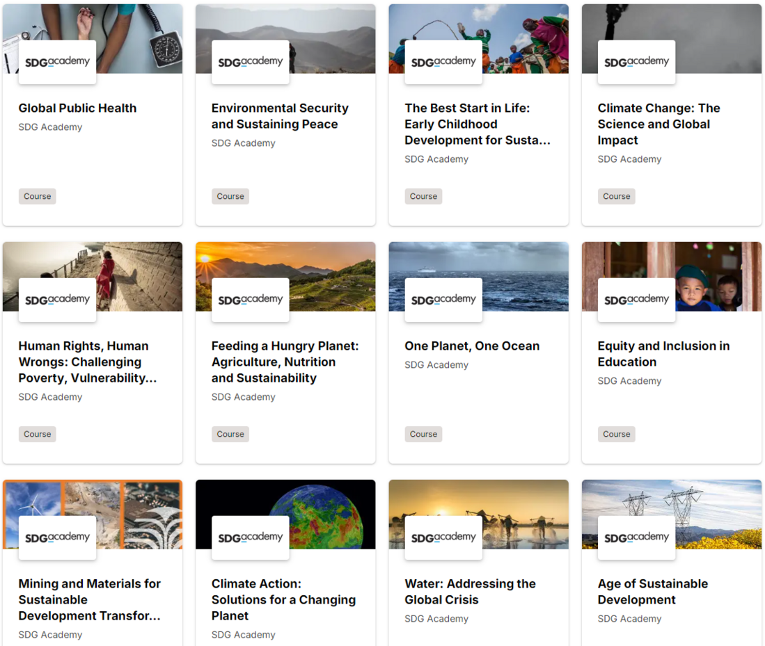 Screenshot der SDG Academy Webseite mit Kursen in Rasteransicht. DAM.